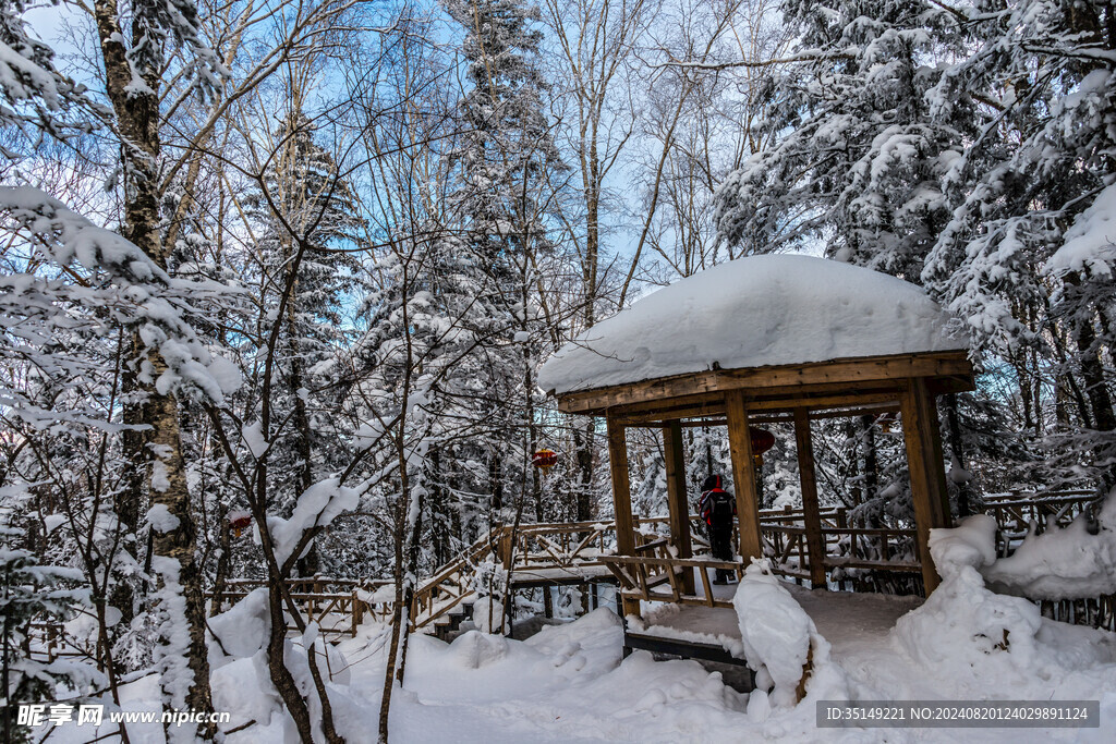 雪乡风景