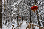 雪乡风景