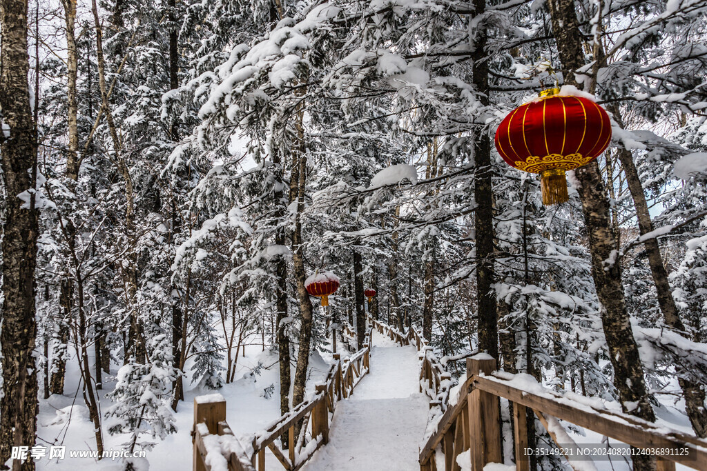 雪乡风景