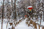 雪乡风景