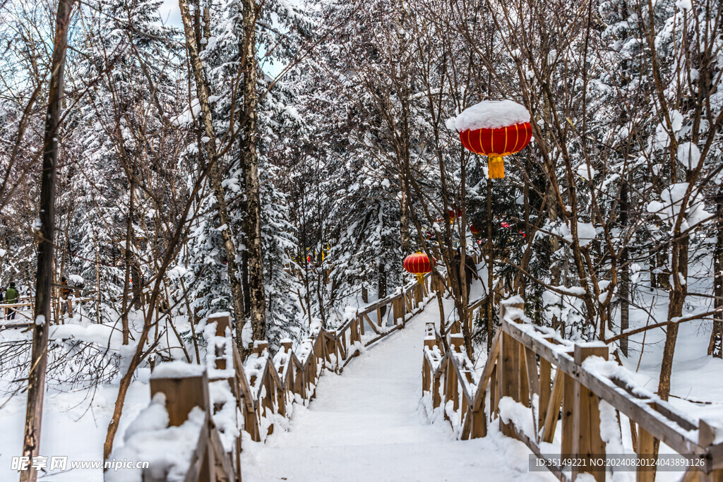 雪乡风景