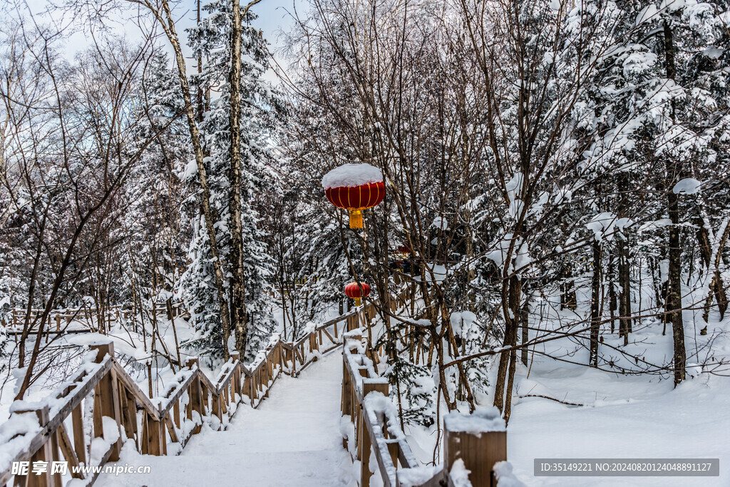 雪乡风景