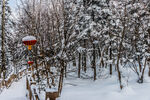 雪乡风景