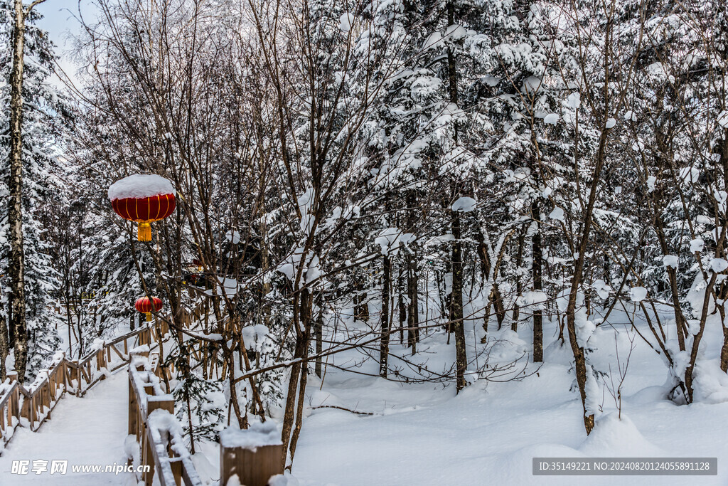 雪乡风景