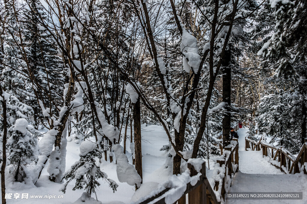 雪乡风景