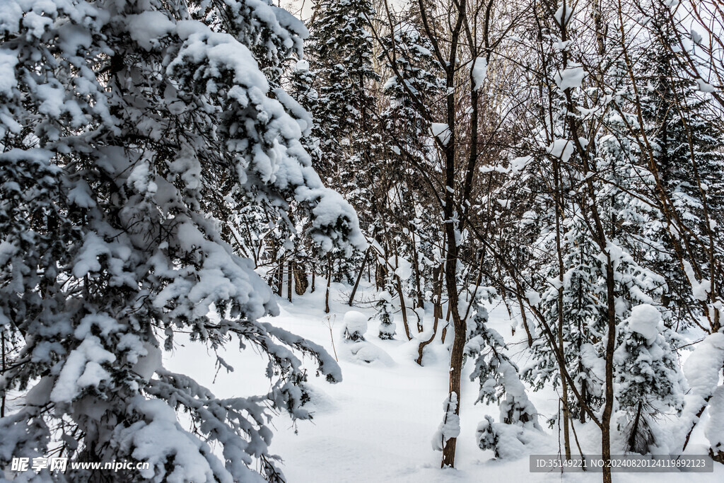 雪乡风景