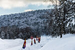 雪乡风景