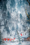 雪乡风景