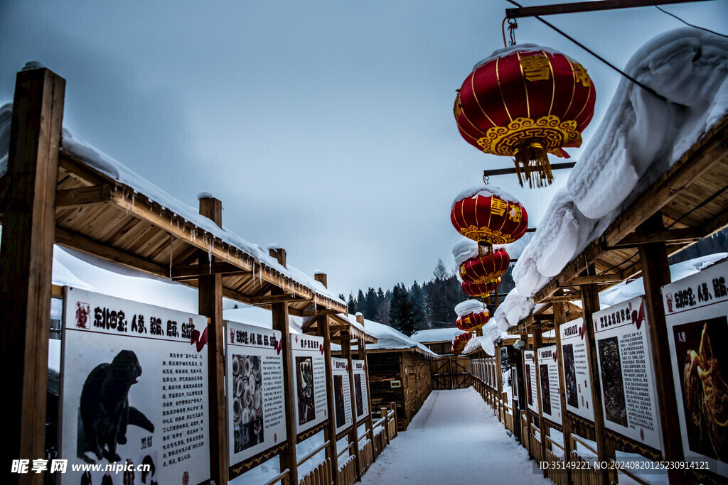 雪乡风景