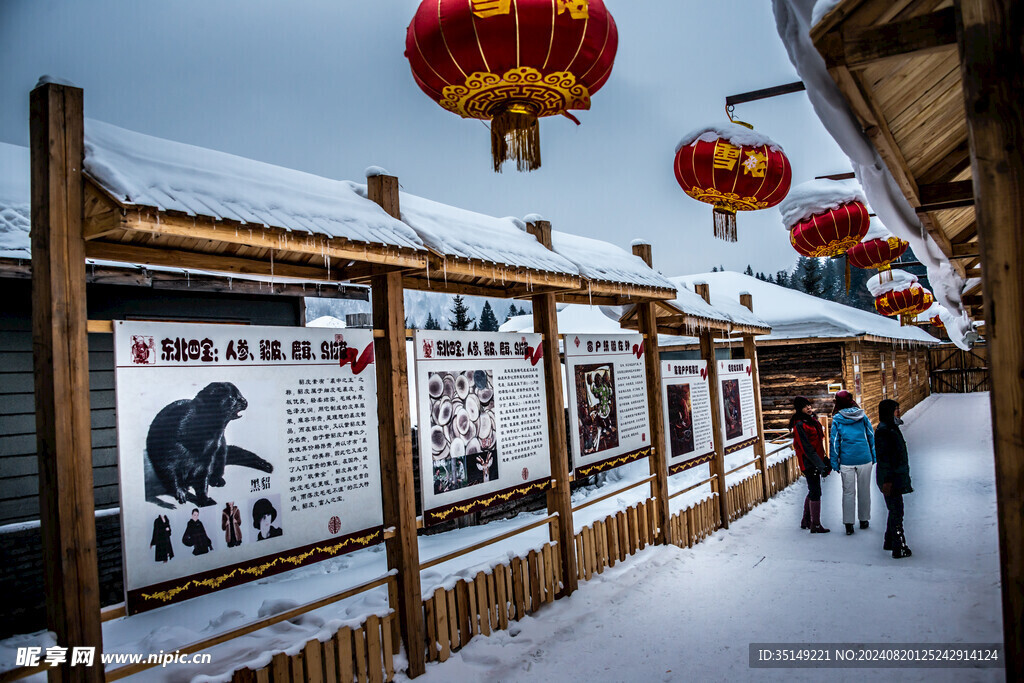 雪乡风景