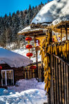 雪乡风景