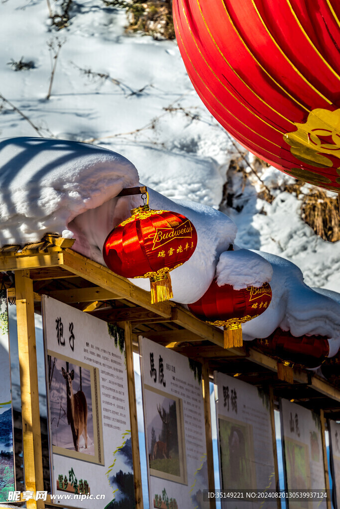 雪乡风景