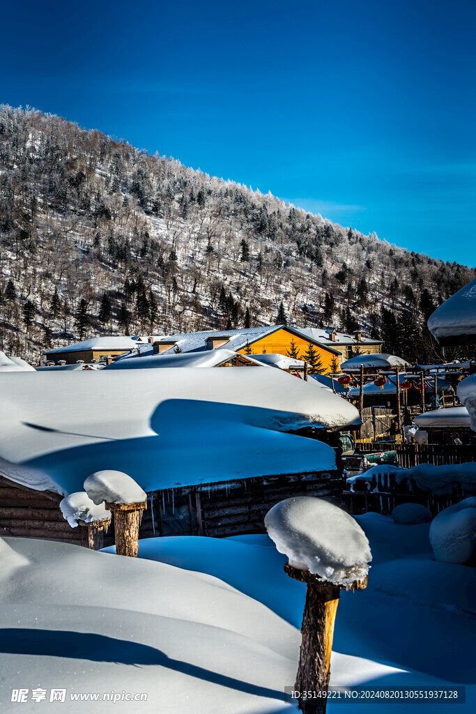 雪乡风景