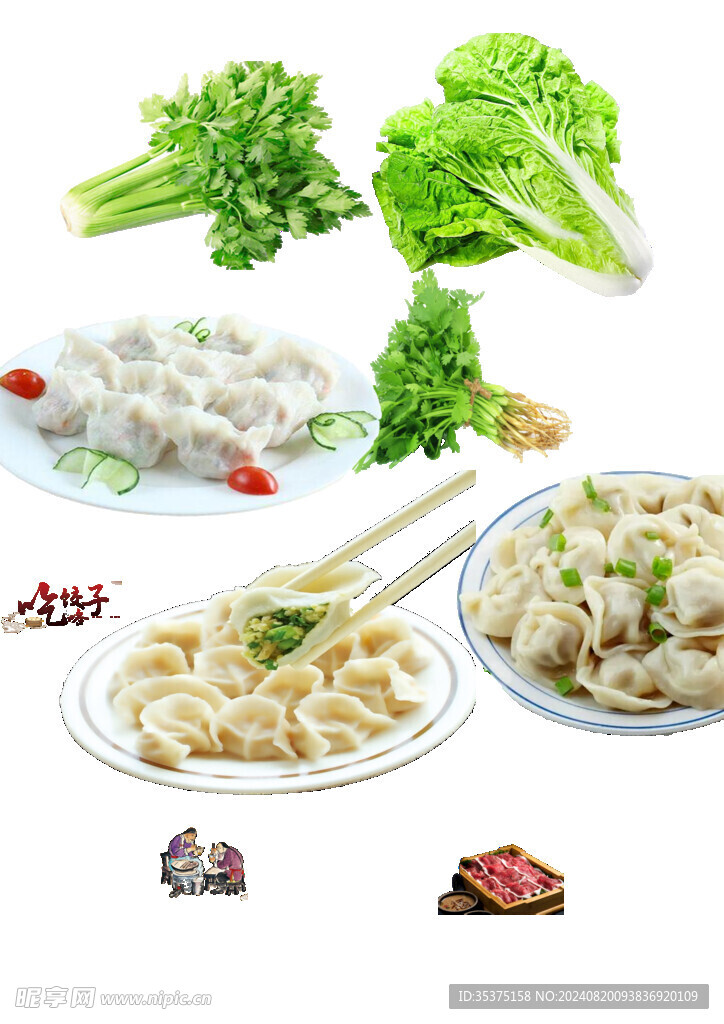 各种菜饺子