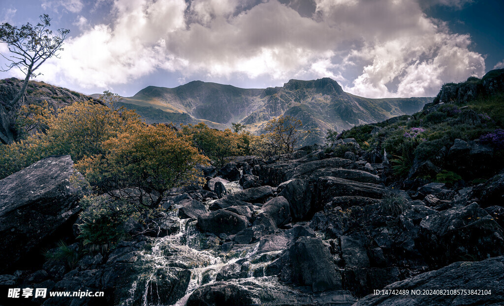 高山
