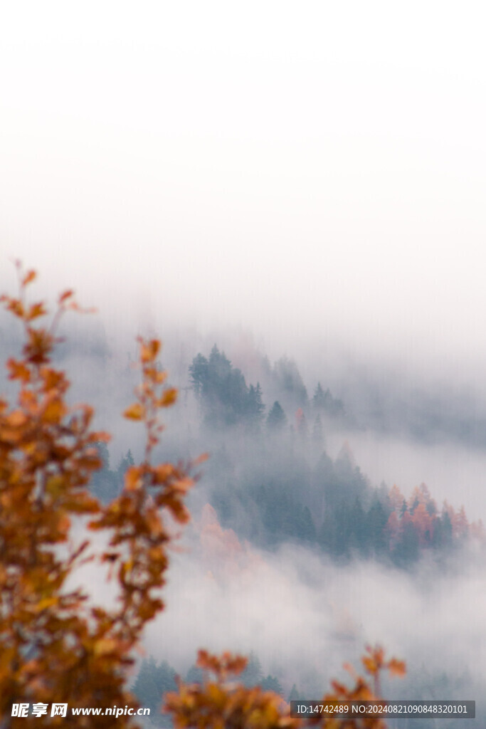 雾气山峰