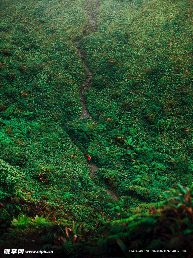 绿色山坡