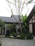  杭州绿城桃花源别墅区庭院