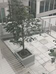 杭州天目里商业室外摆可移动花箱
