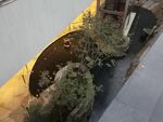 杭州天目里下沉庭院景观