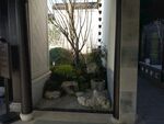  杭州桃李春风