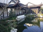  杭州桃李春风