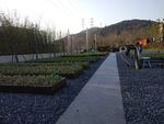 杭州劝学公园  科普菜园