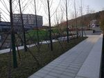 杭州劝学公园 