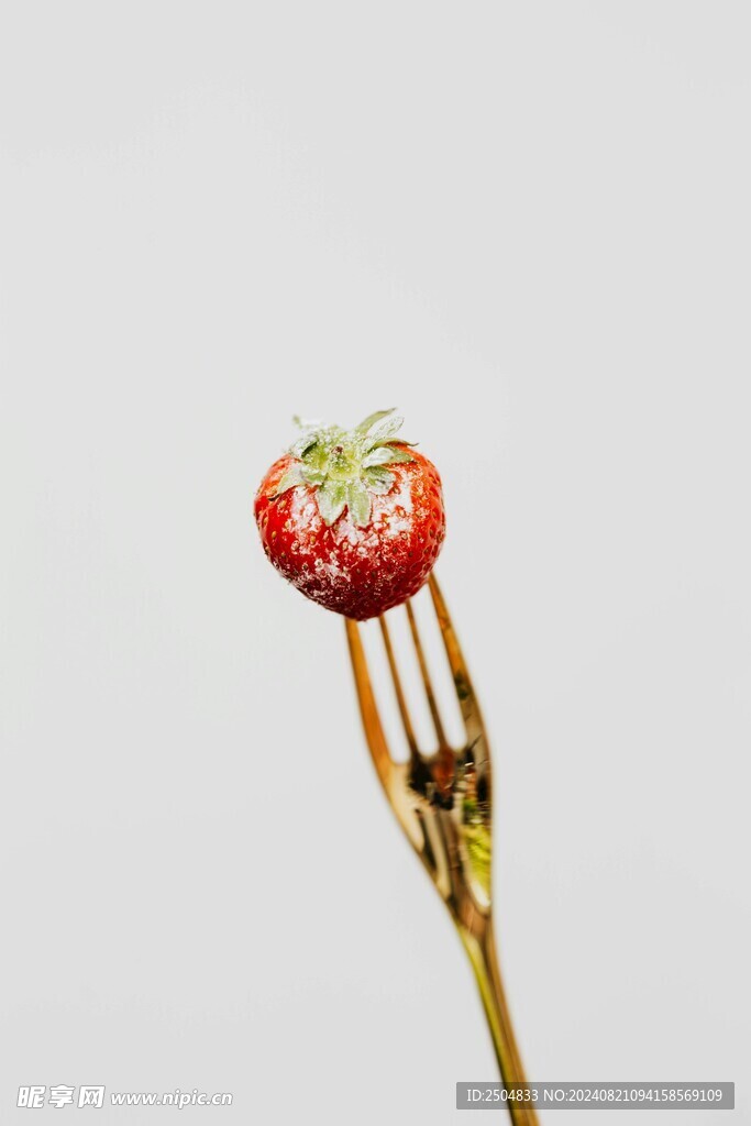 草莓