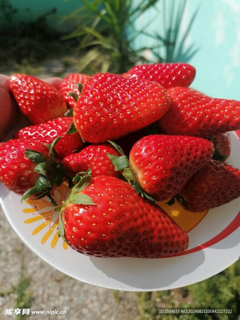 草莓