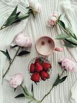 草莓