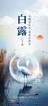 插画风白露二十四节气海报