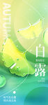 二十四节气白露海报