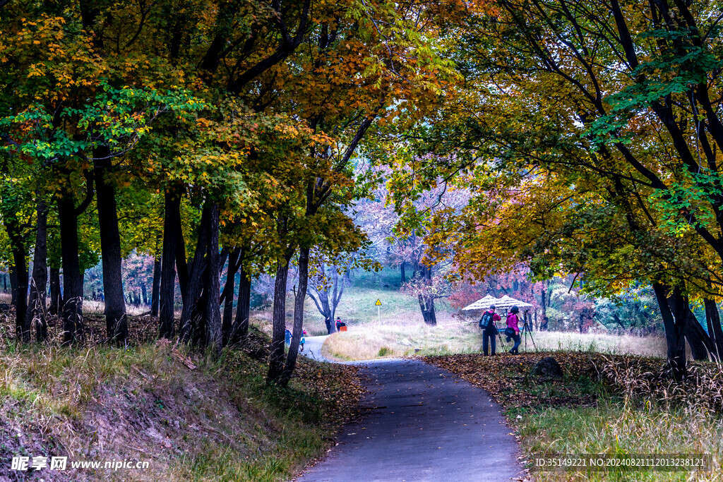 阿城平山神鹿场风景