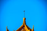 兰西东林寺风景