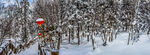 雪乡风景