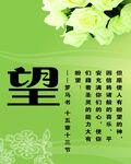 爱 望 信 