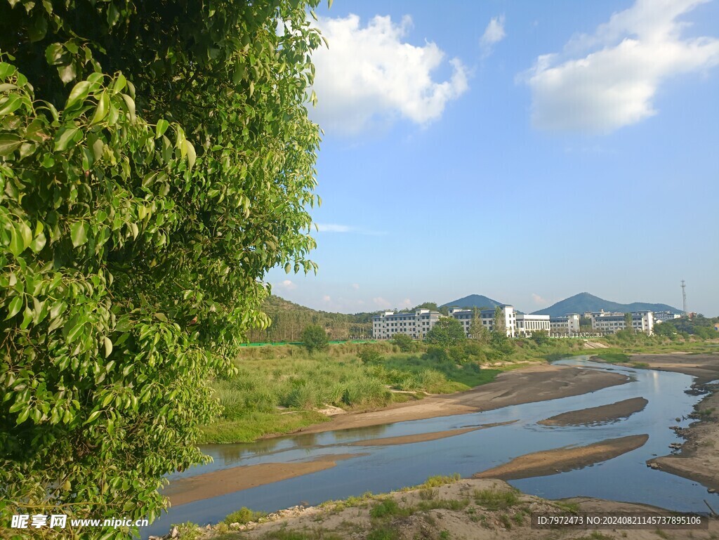 崎河