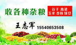 杂粮名片