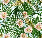 热带花