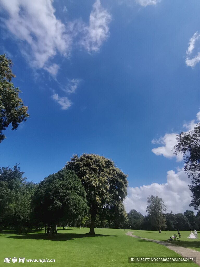 蓝天 云彩 草地