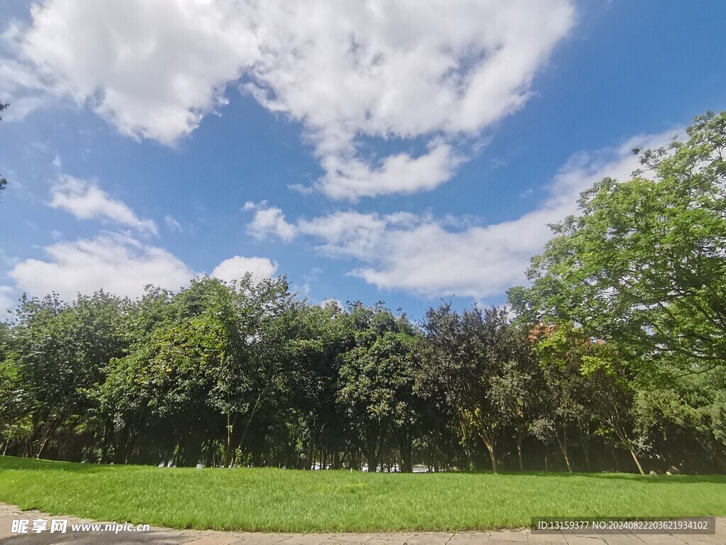 蓝天 云彩 草地
