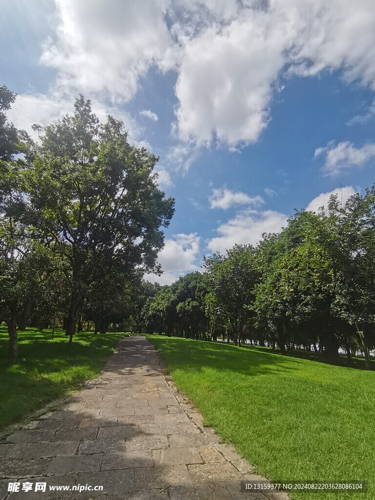 蓝天 云彩 草地