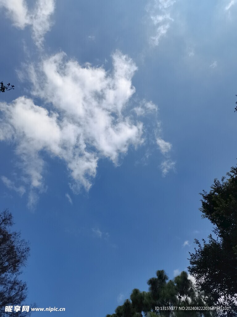 蓝天 云彩 草地