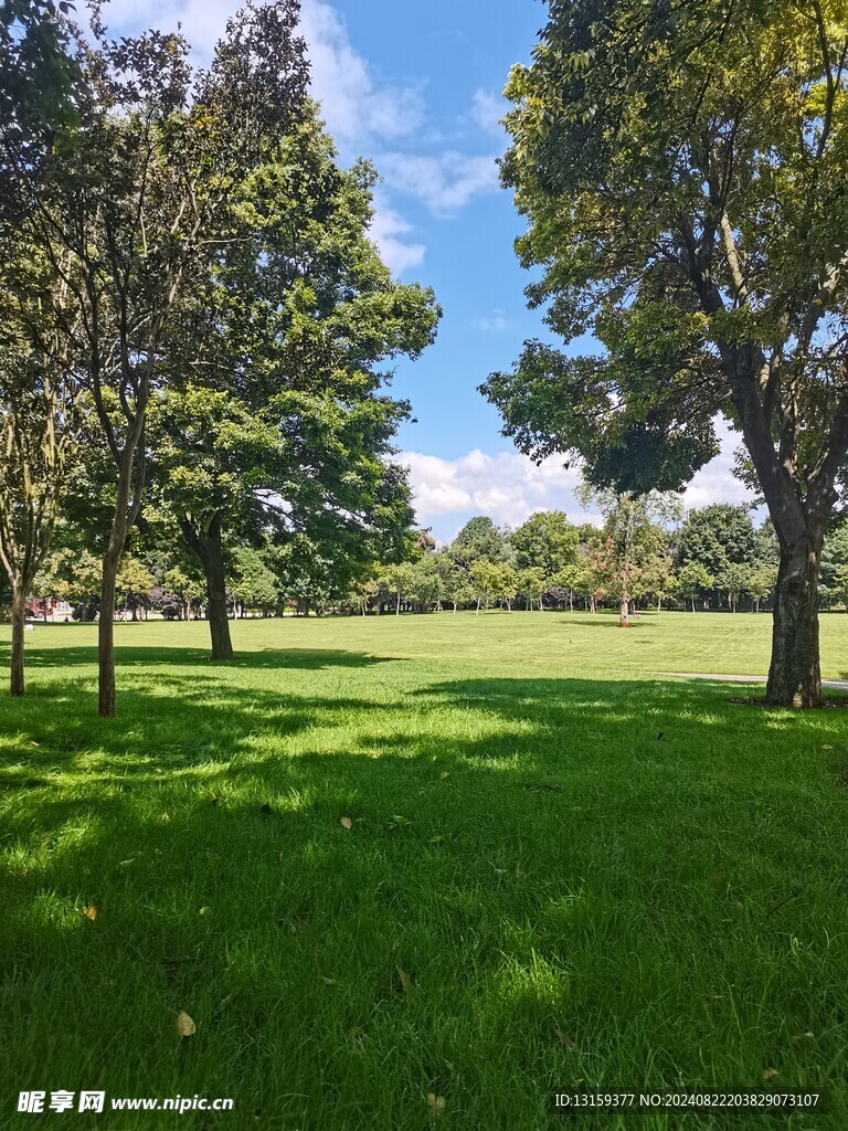 蓝天 云彩 草地