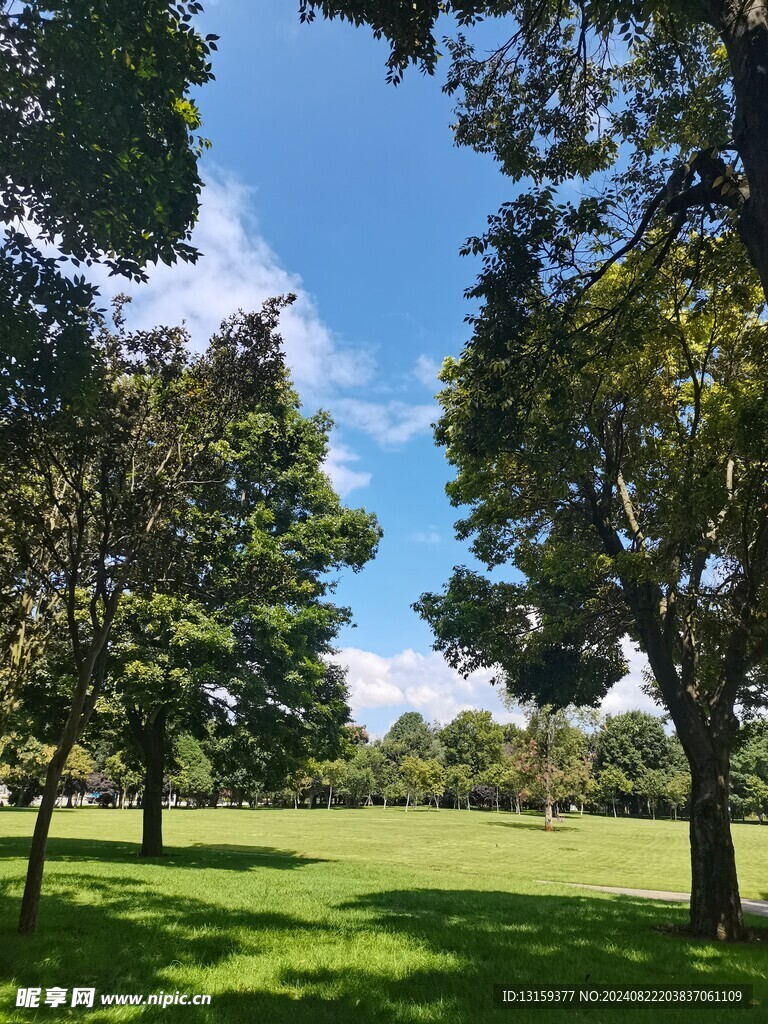 蓝天 云彩 草地