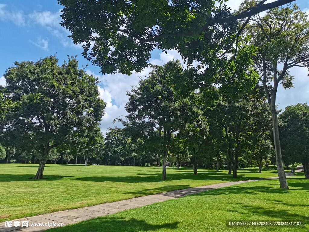 蓝天 云彩 草地