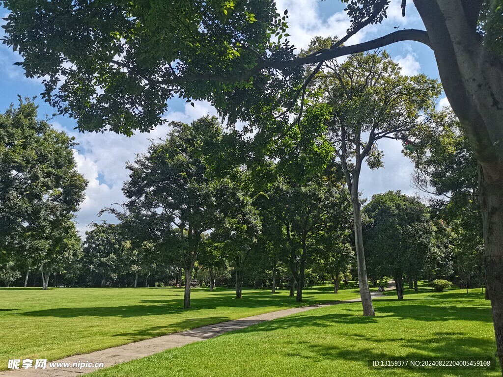 蓝天 云彩 草地