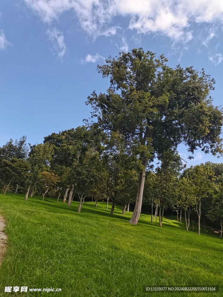 蓝天 云彩 草地