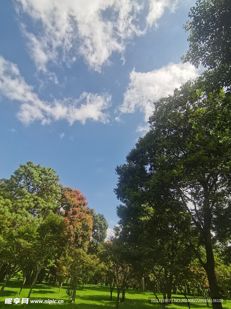 蓝天 云彩 草地